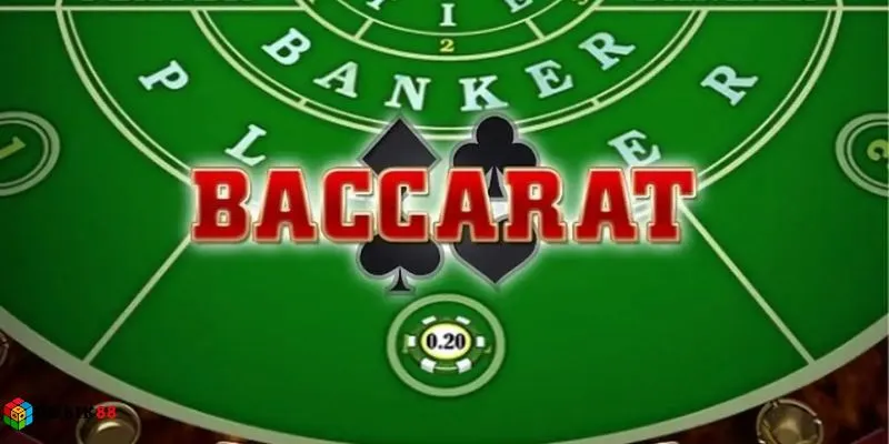 Cược Rồng Hổ hiệu quả - Tập trung đúng cửa, thắng nhanh tại Rubik88